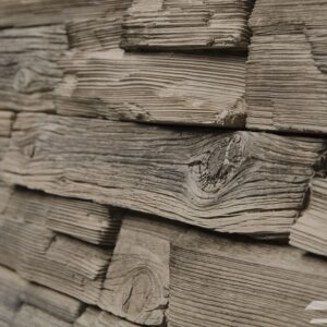wood oak