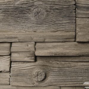 wood oak